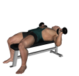 Dumbbell Press - Flat Bench